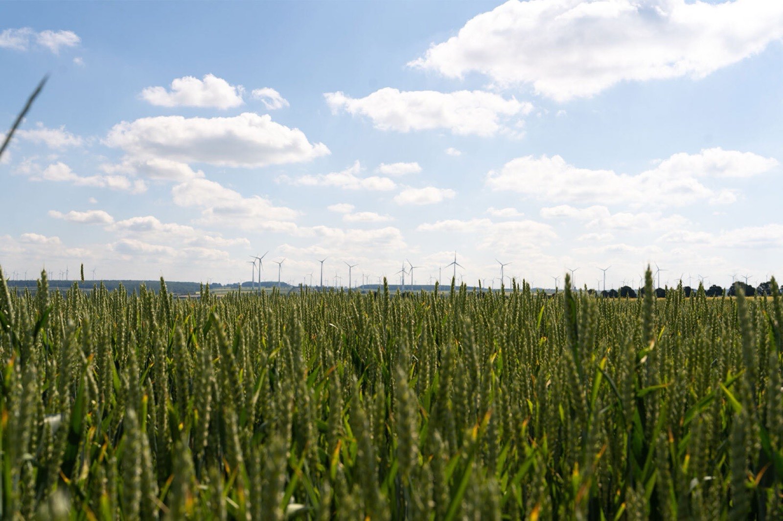 Acker- und Weidefläche für Windkraft