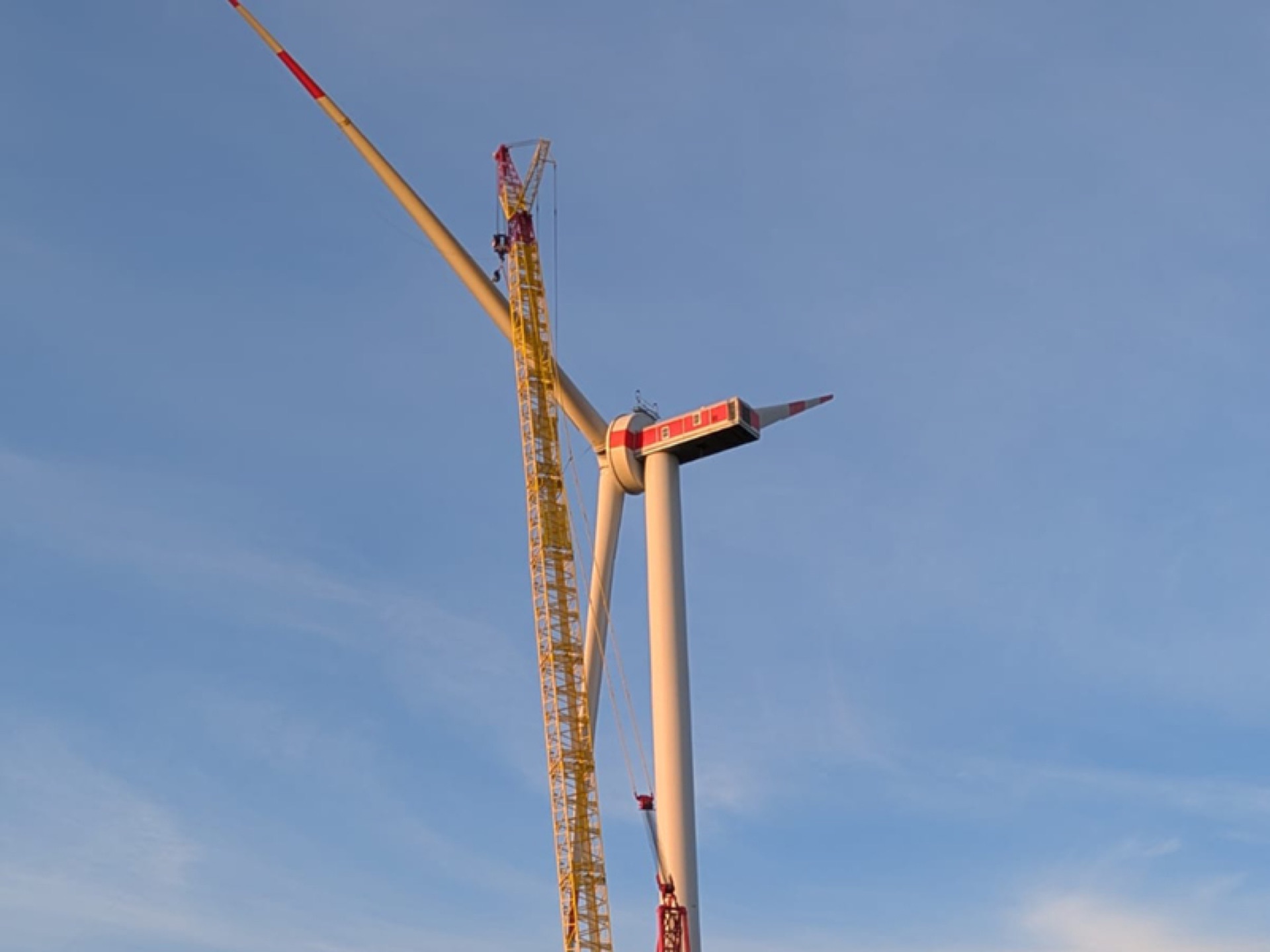 Blattmontage in Etteln